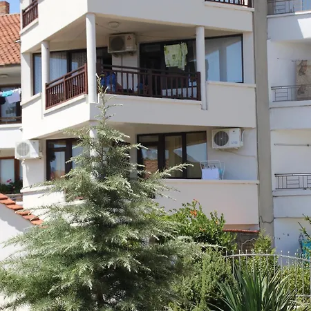 Yankov's House Pensiune 2*