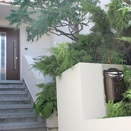 Yankov's House 2*